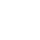 VERYFLEX Logo